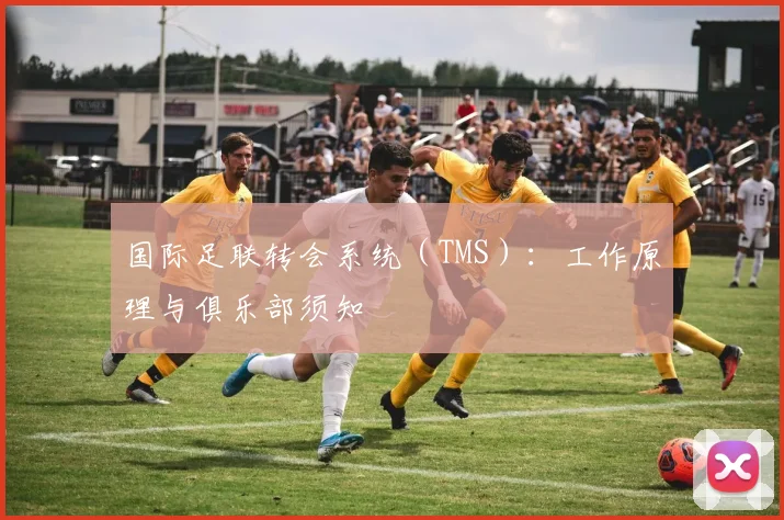 国际足联转会系统（TMS）：工作原理与俱乐部须知
