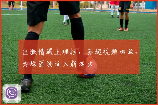 当激情遇上理性,苏超视频回放,为绿茵场注入新活力