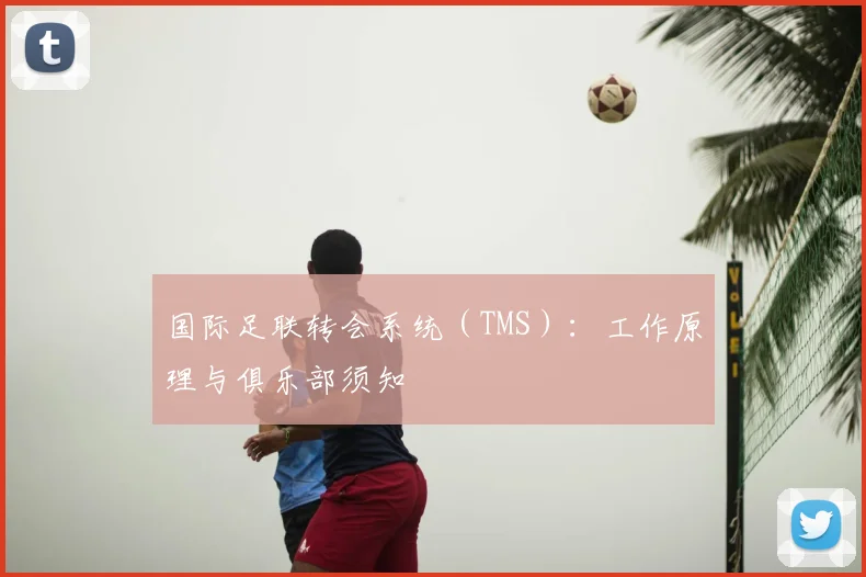 国际足联转会系统（TMS）：工作原理与俱乐部须知